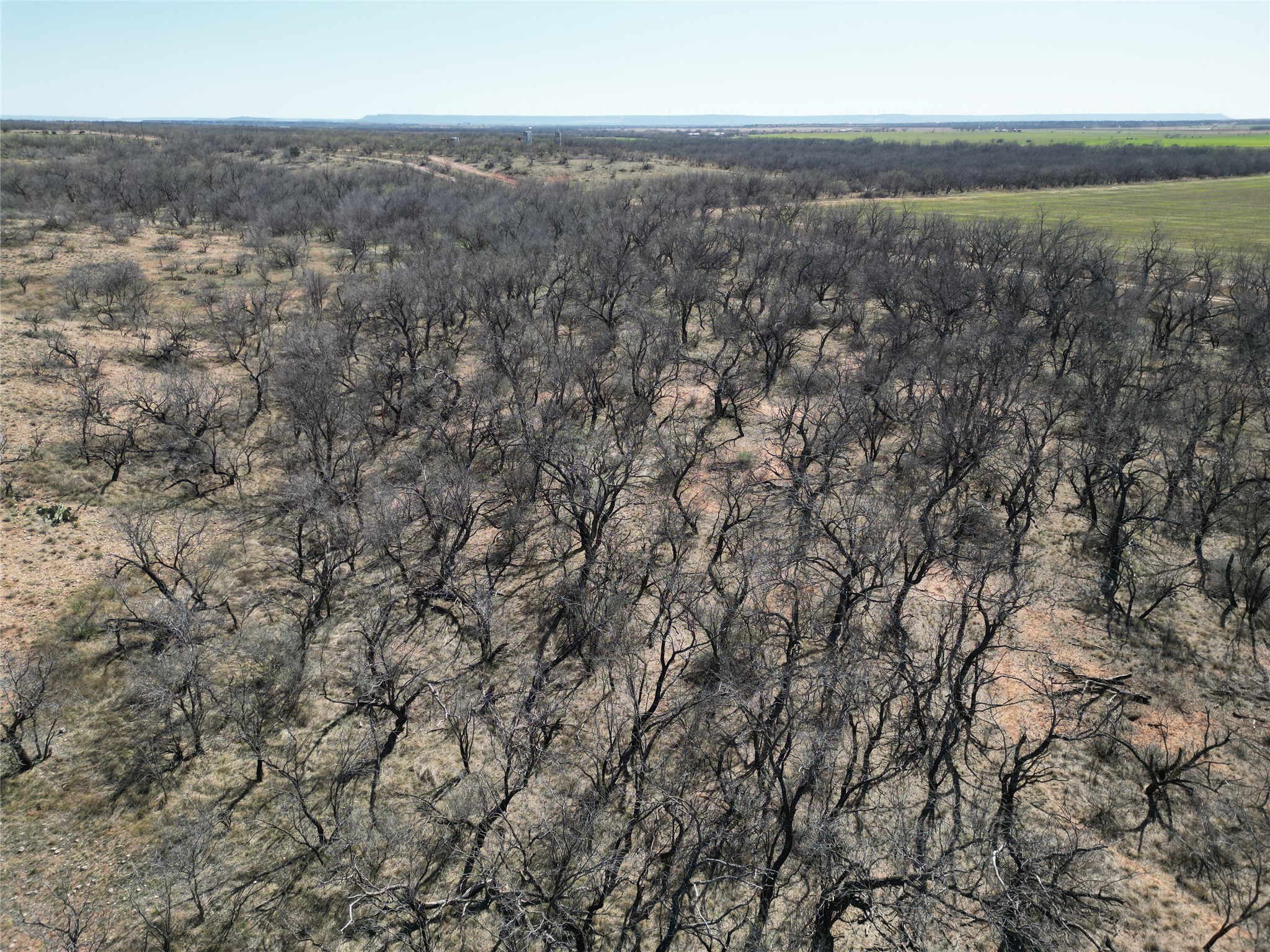 Tbd Pr Off Of Cr 444 Merkel TX 79536
