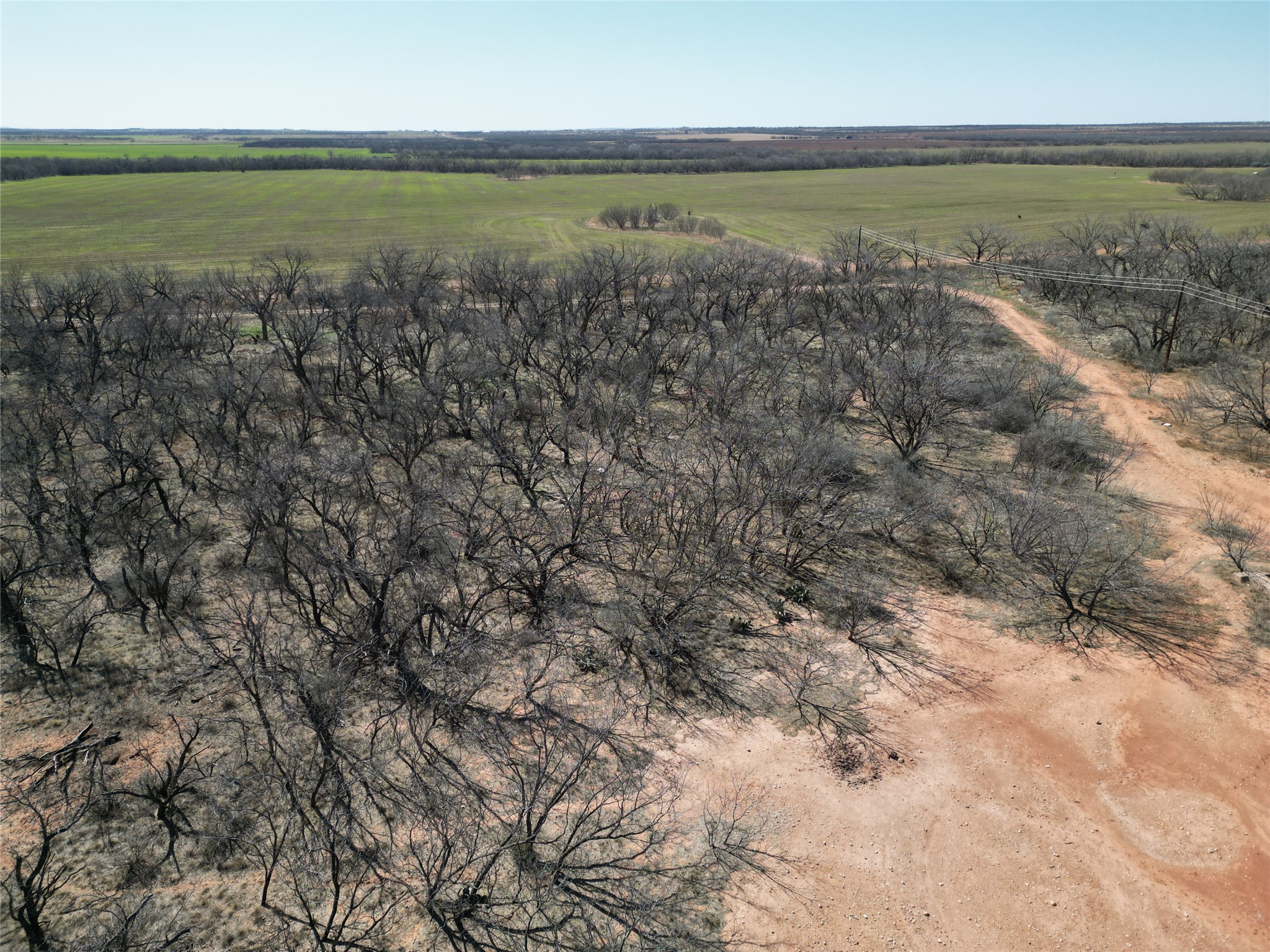 Tbd Pr Off Of Cr 444 Merkel TX 79536