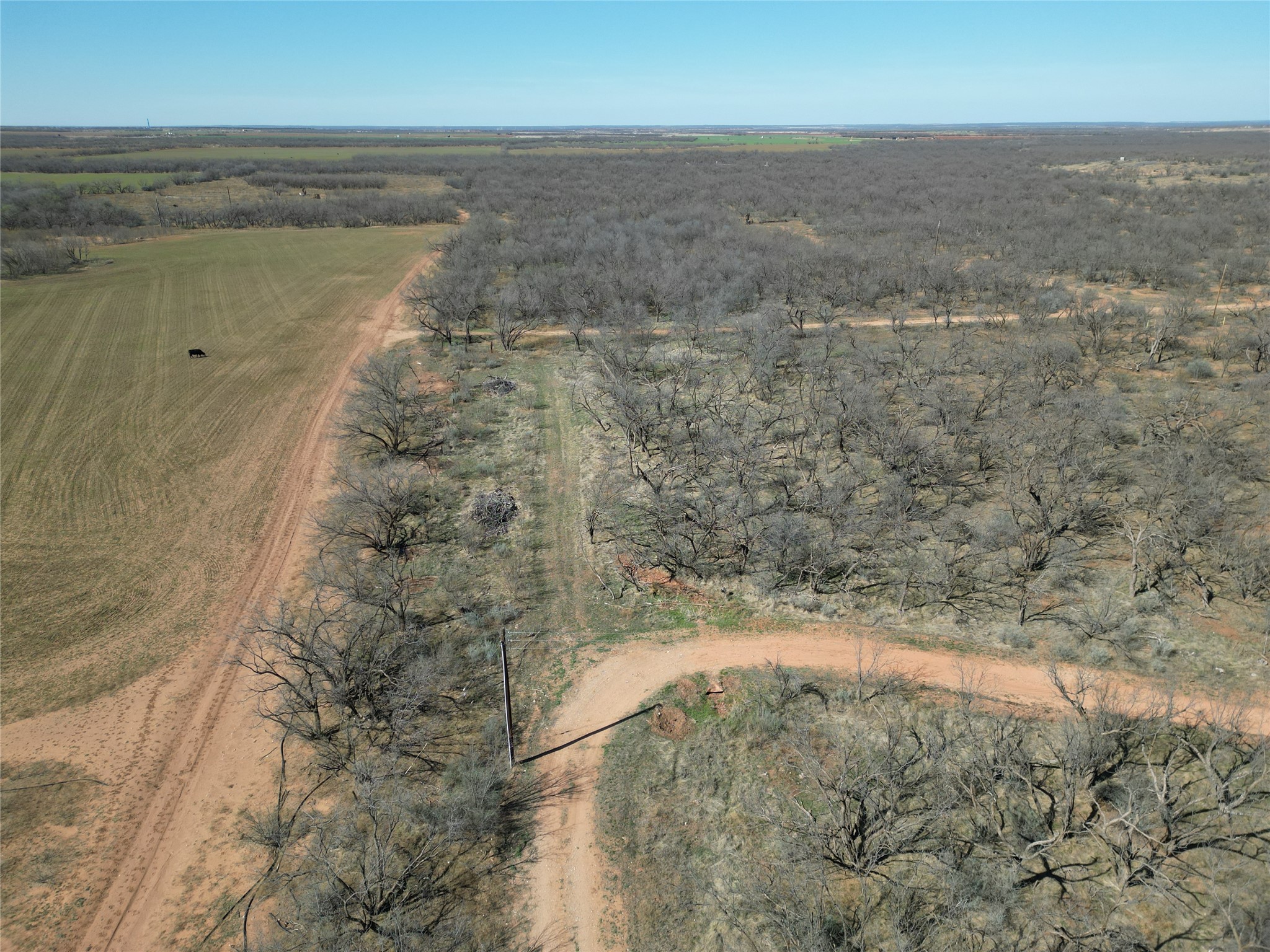 Tbd Pr Off Of Cr 444 Merkel TX 79536