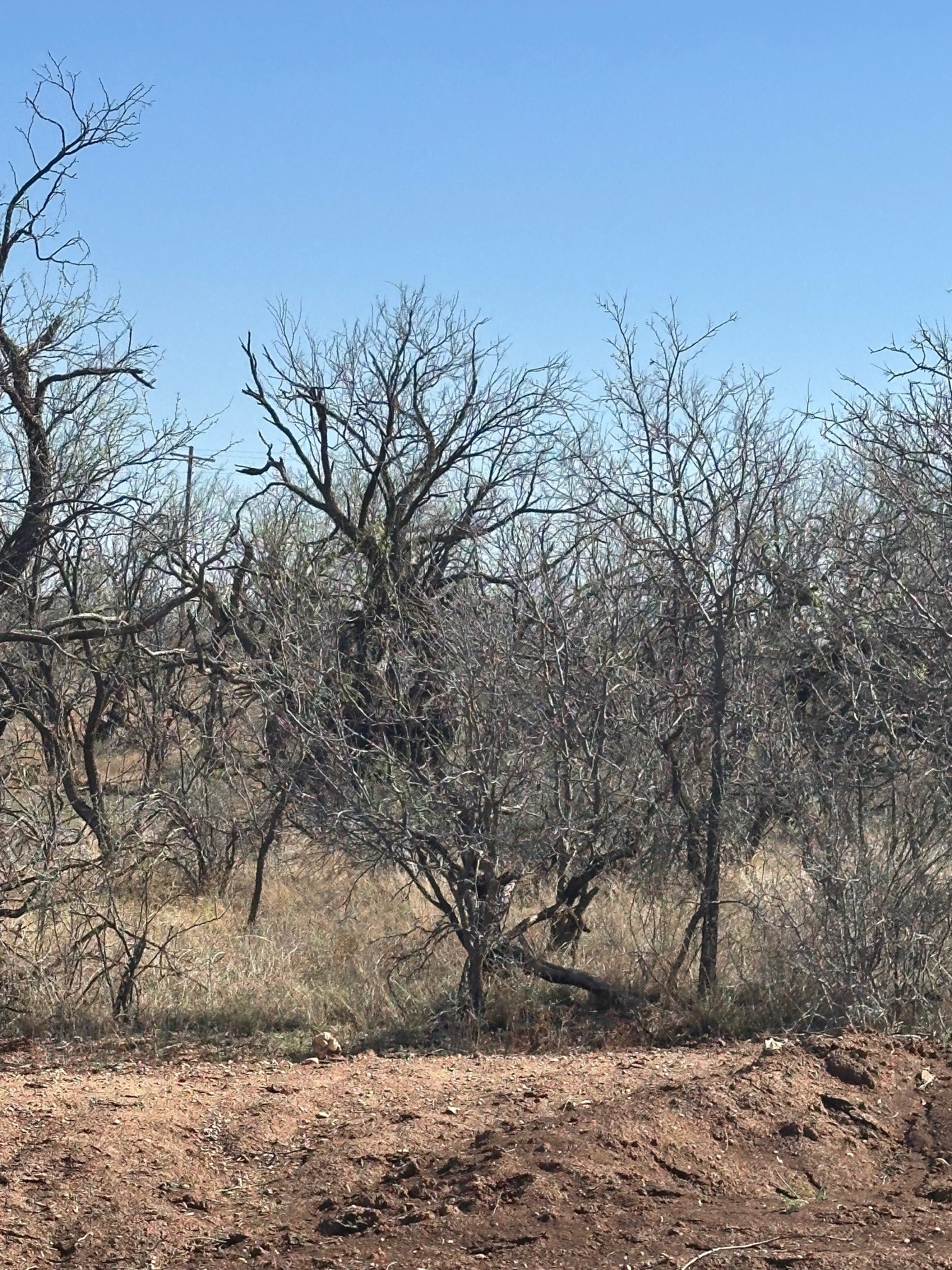 Tbd Pr Off Of Cr 444 Merkel TX 79536