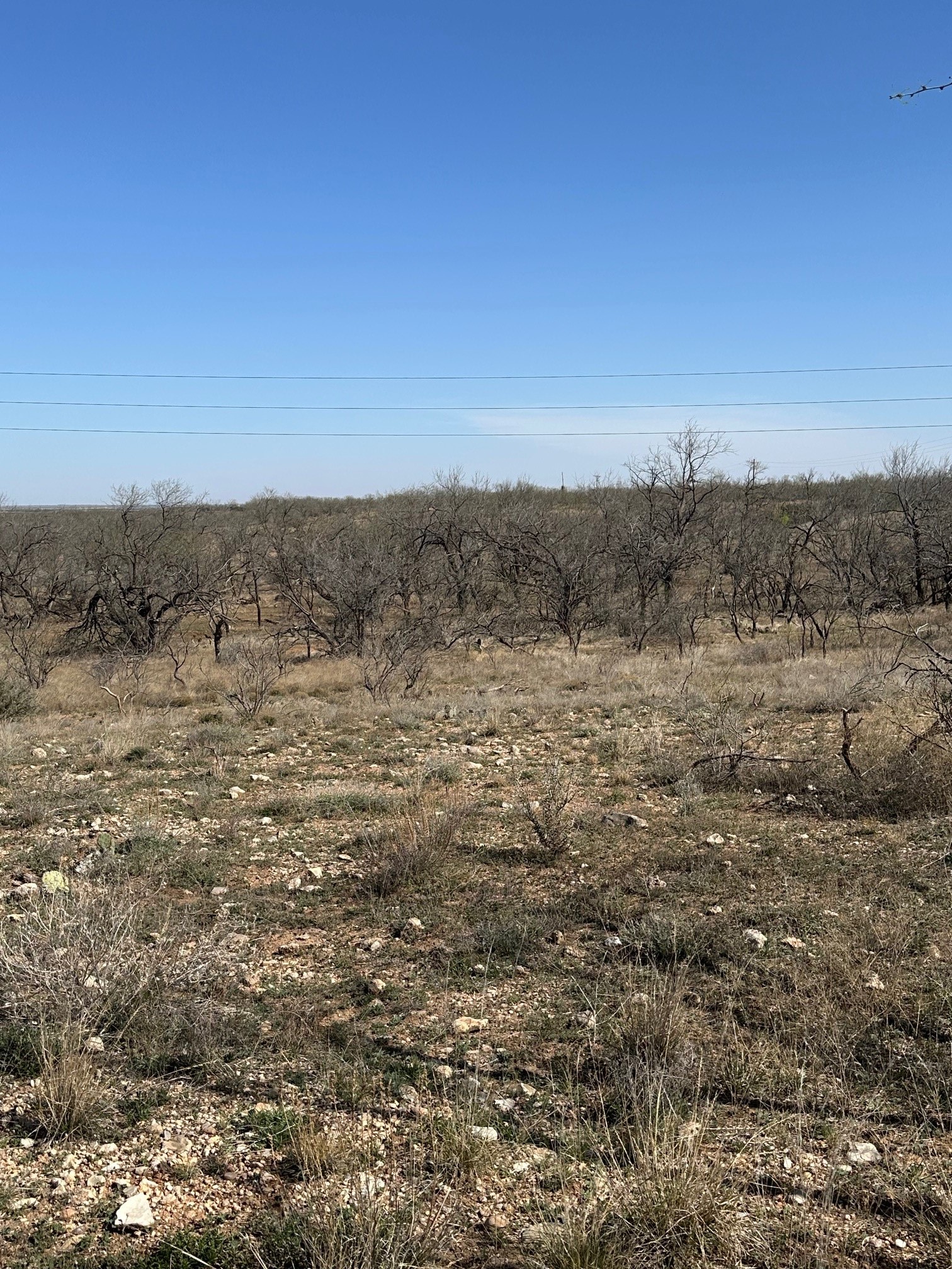 Tbd Pr Off Of Cr 444 Merkel TX 79536