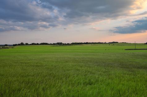Tbd County Road 138 Comanche TX 76442
