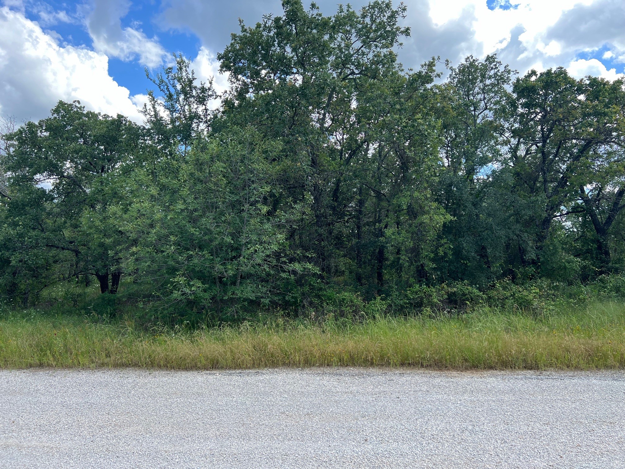 153 Julie Drive Mineral Wells TX 76067
