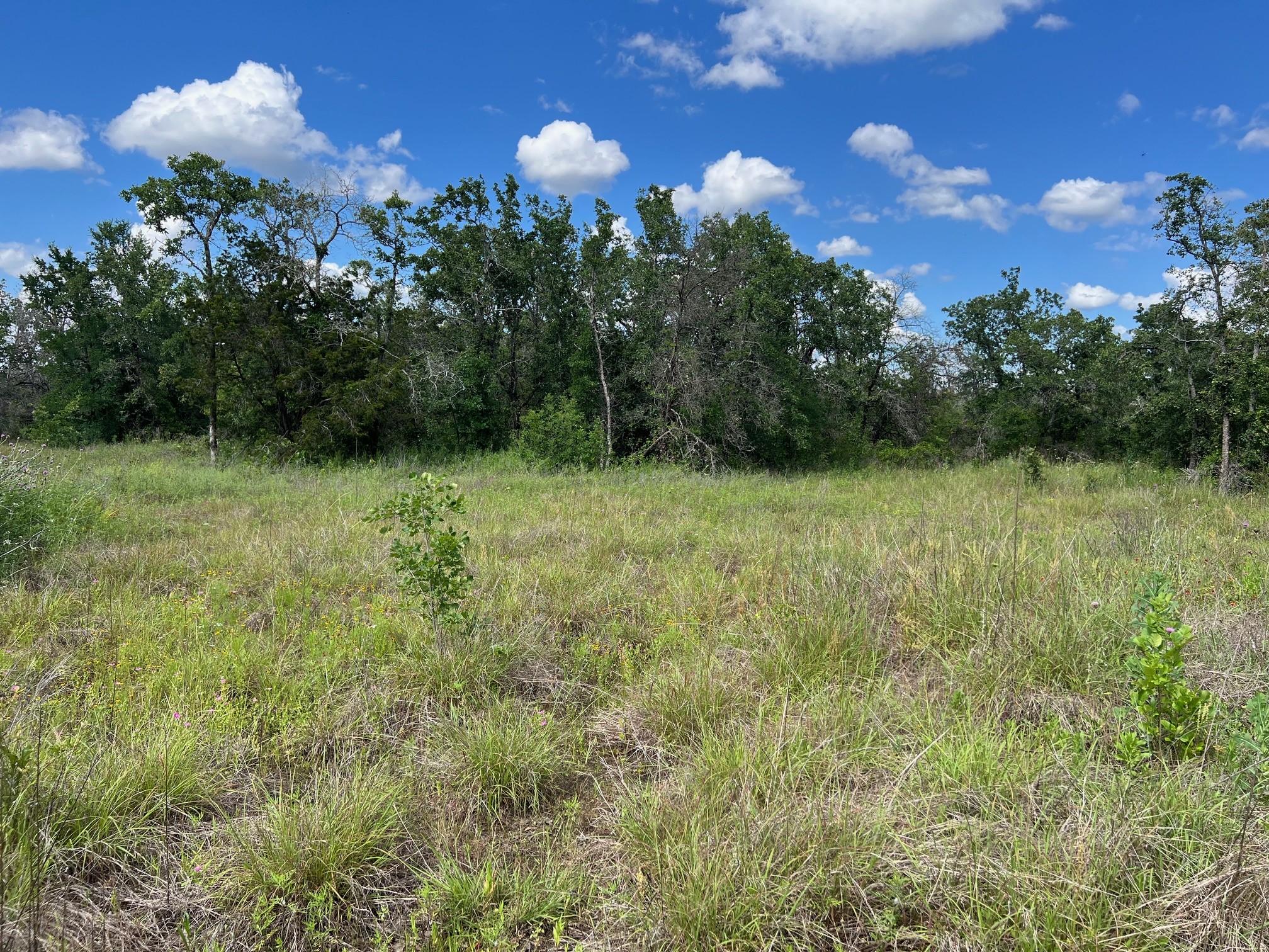 153 Julie Drive Mineral Wells TX 76067