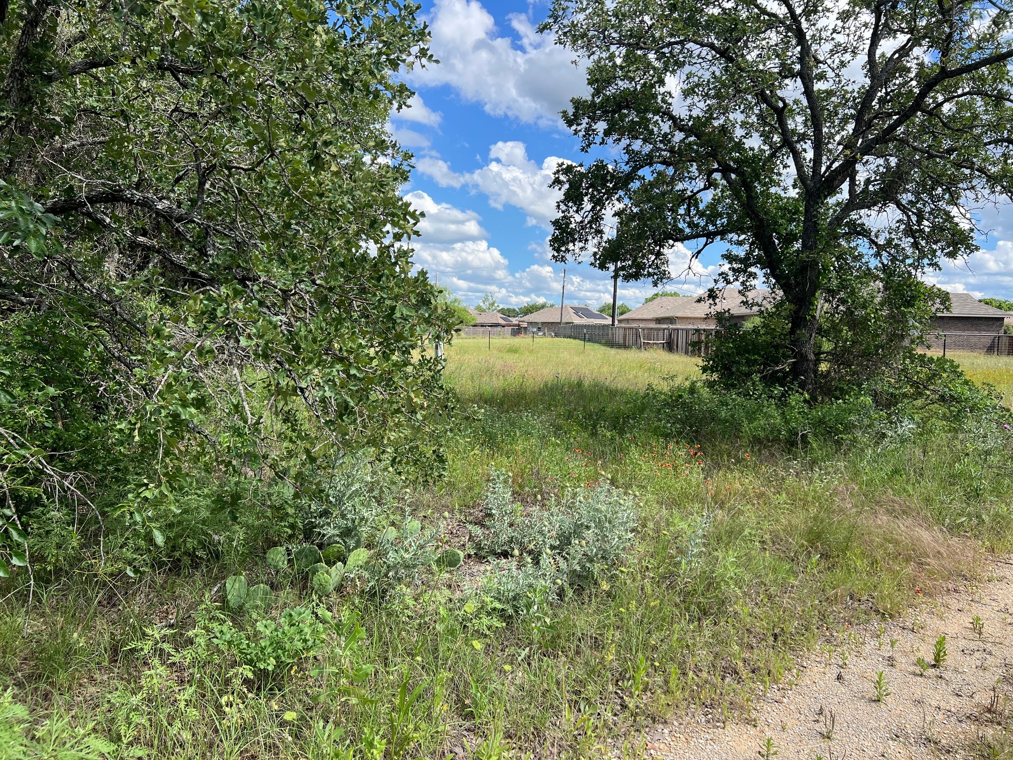 153 Julie Drive Mineral Wells TX 76067