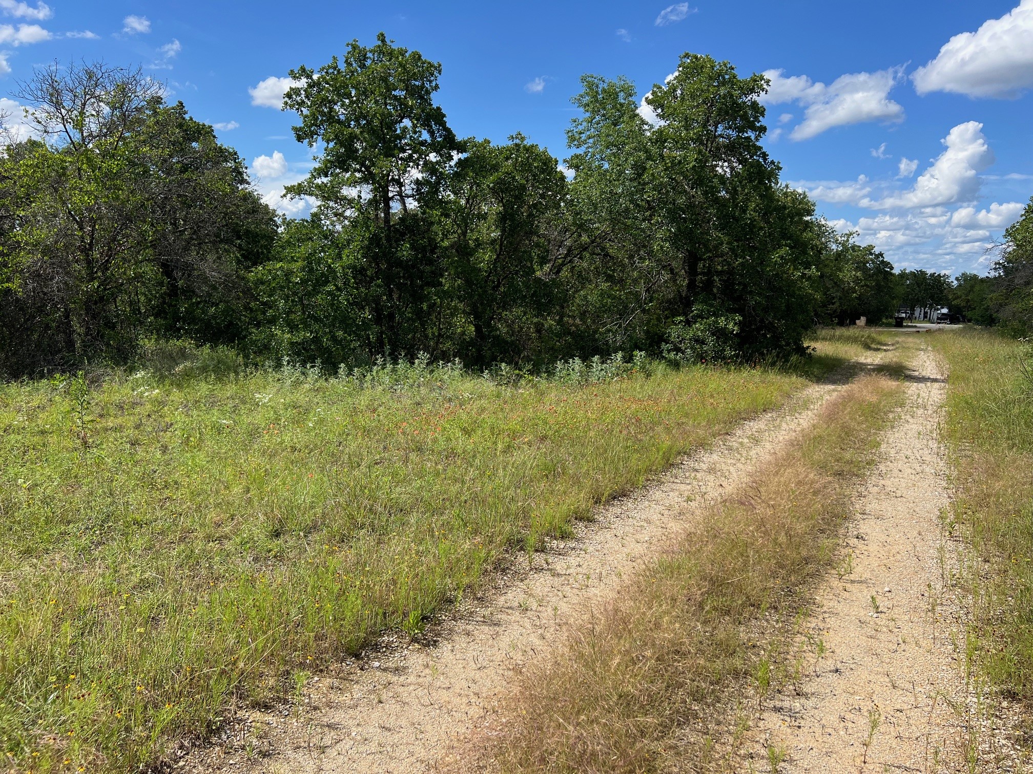 153 Julie Drive Mineral Wells TX 76067