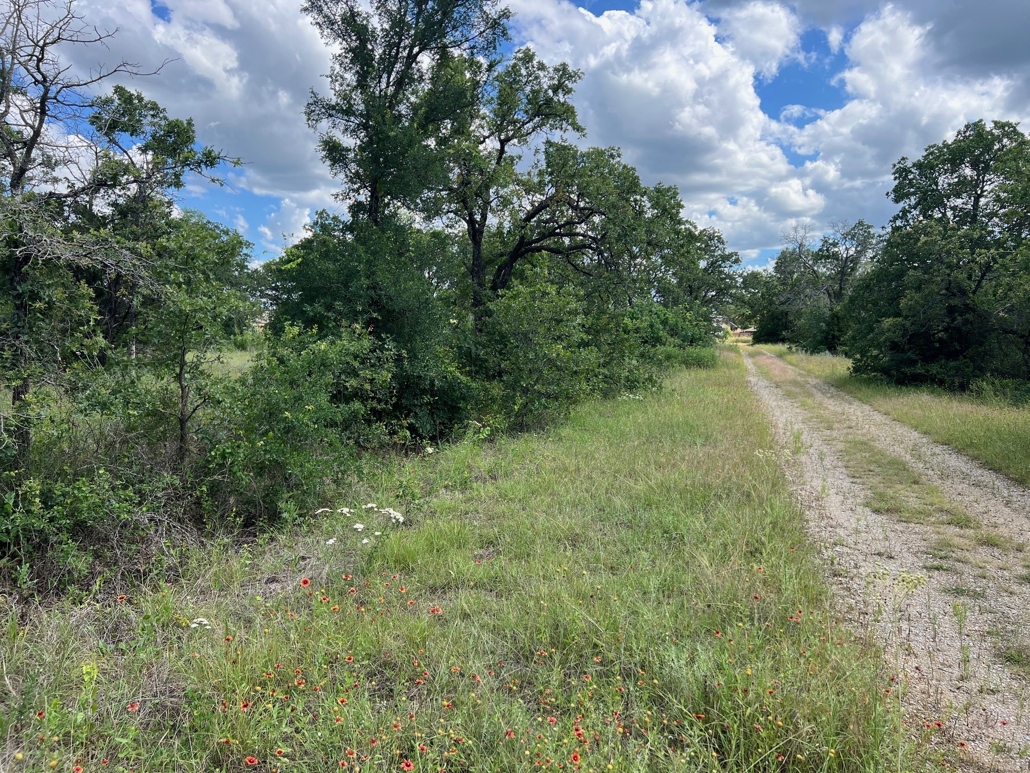 153 Julie Drive Mineral Wells TX 76067