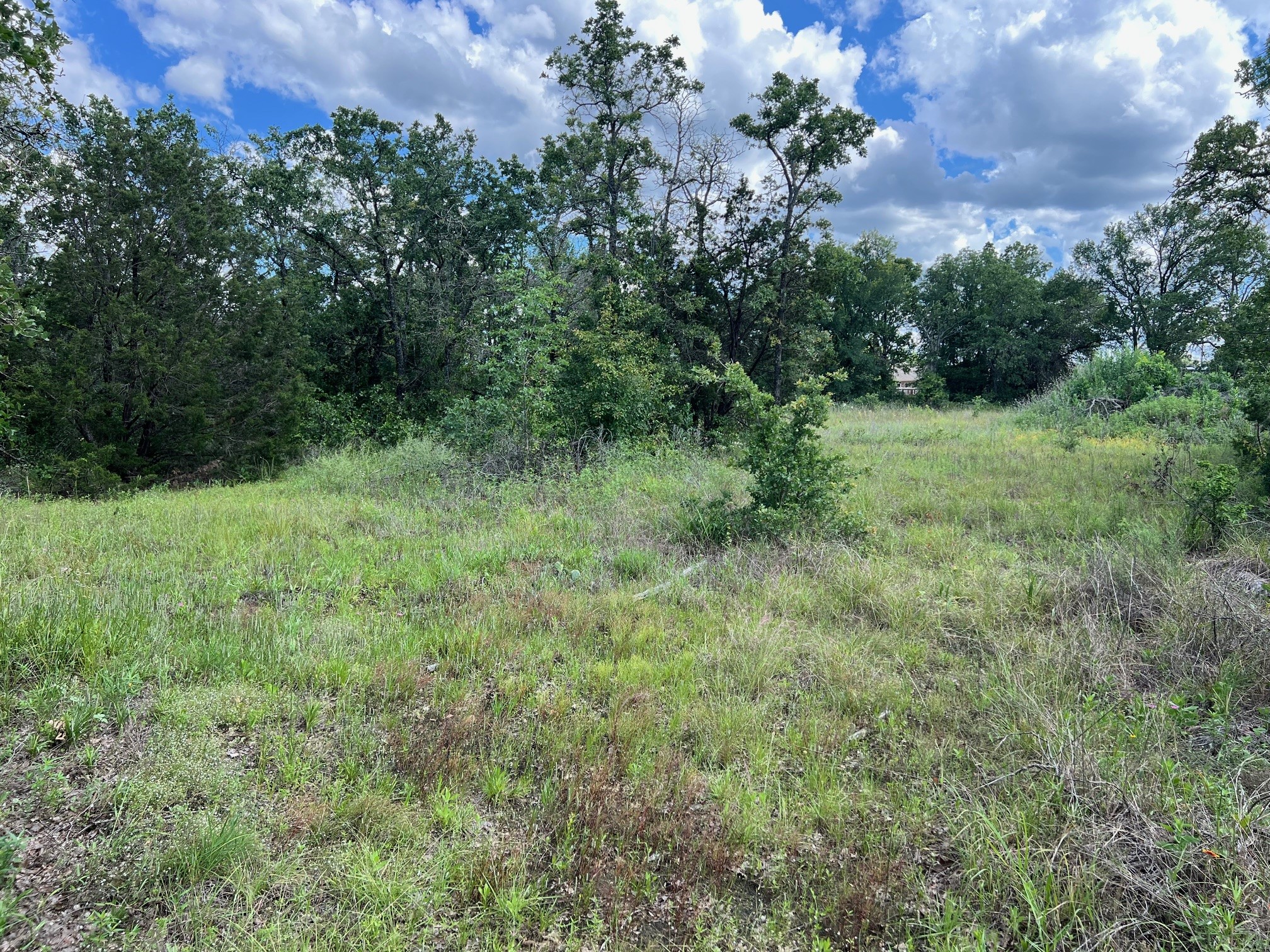 153 Julie Drive Mineral Wells TX 76067