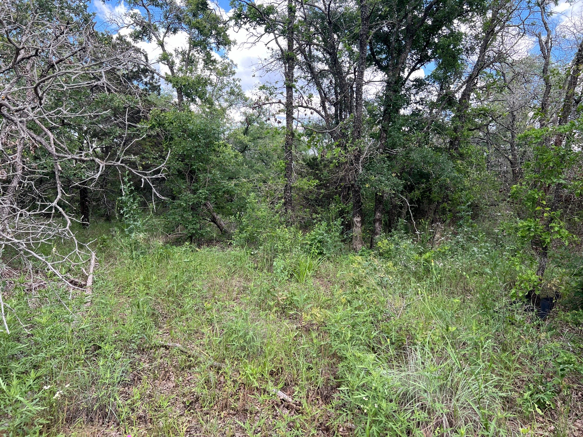 153 Julie Drive Mineral Wells TX 76067