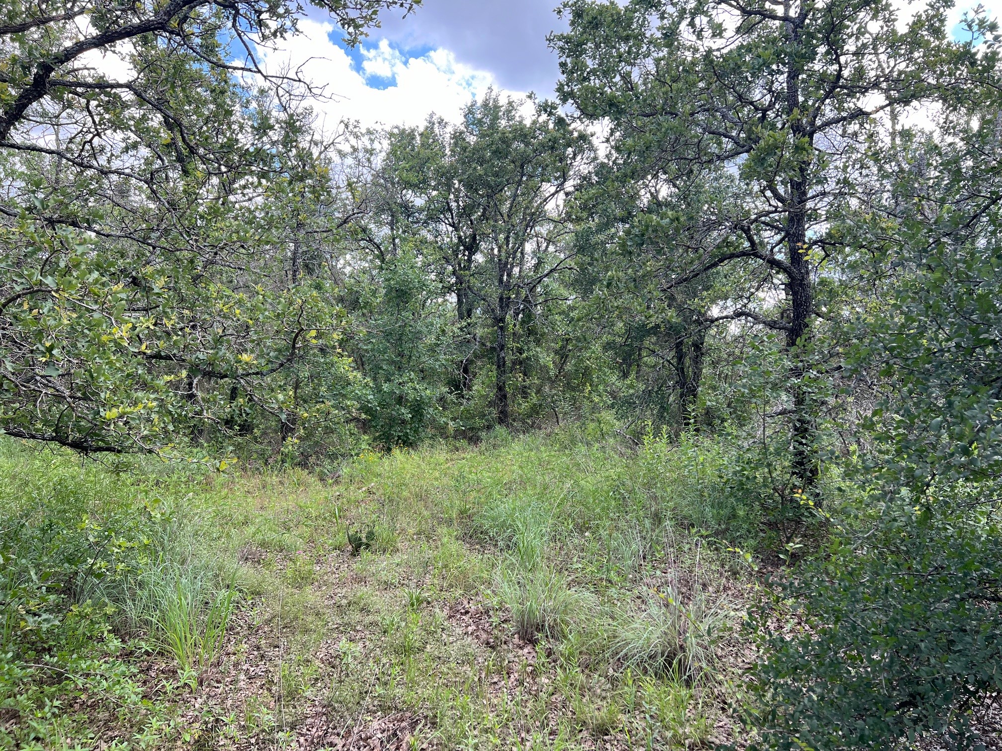 153 Julie Drive Mineral Wells TX 76067