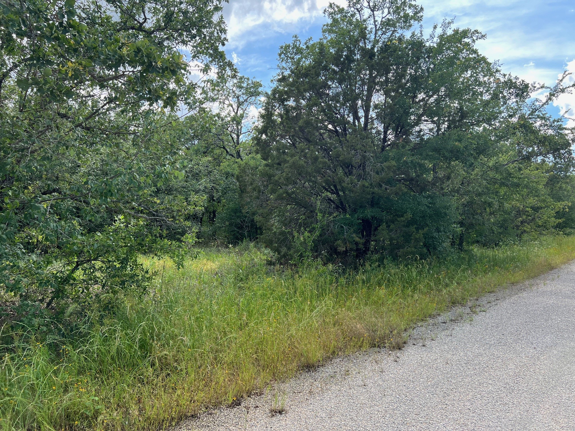 153 Julie Drive Mineral Wells TX 76067