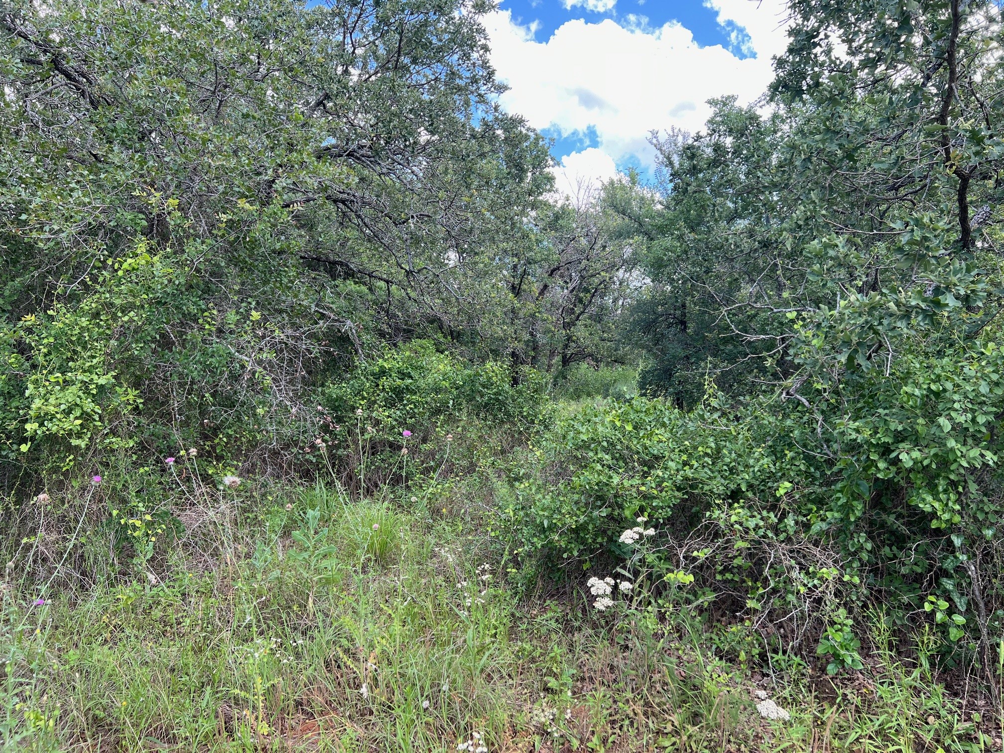 153 Julie Drive Mineral Wells TX 76067