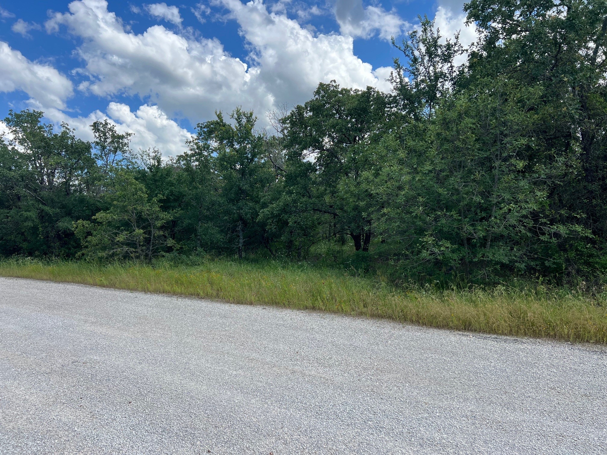 153 Julie Drive Mineral Wells TX 76067