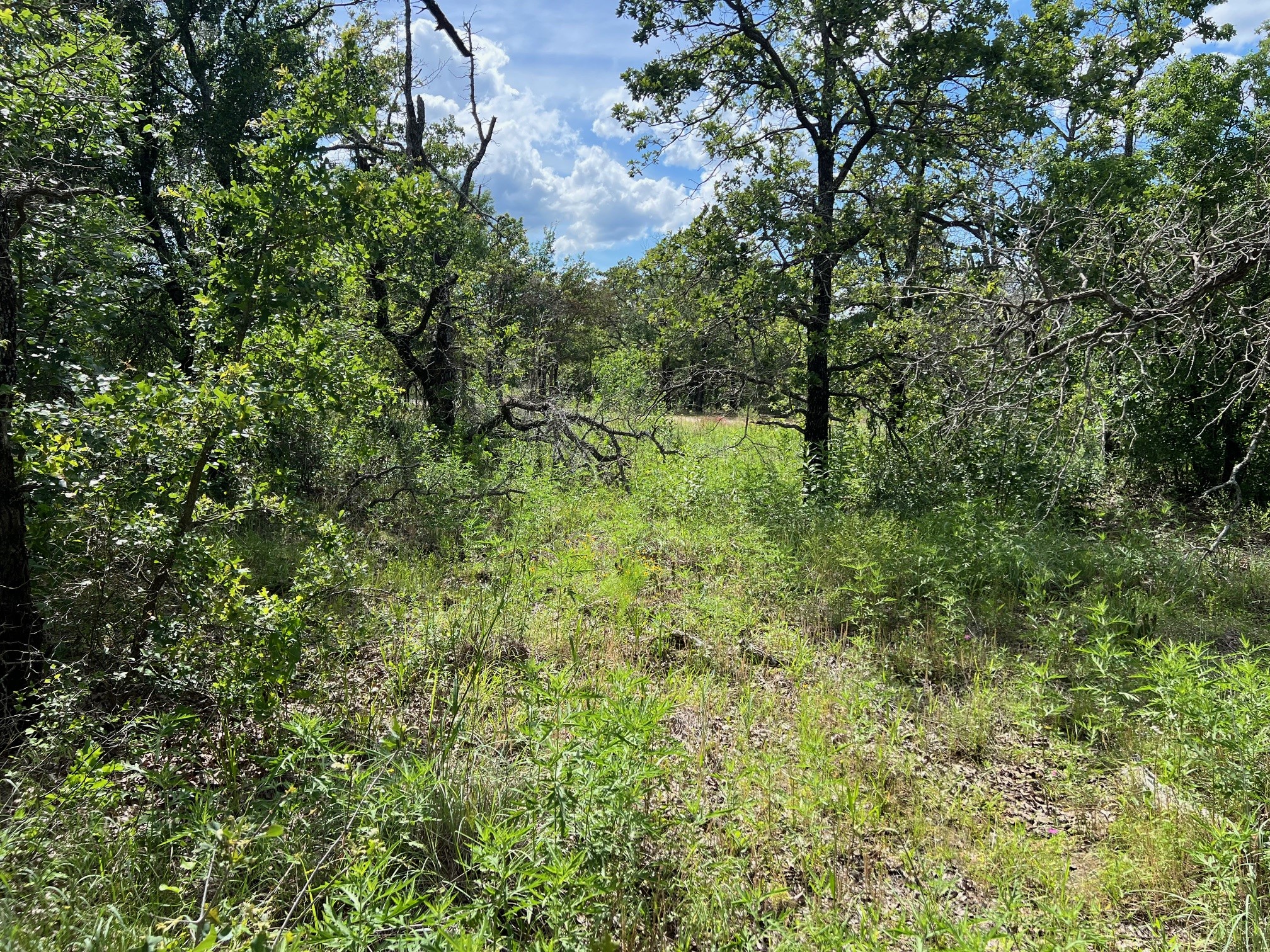 153 Julie Drive Mineral Wells TX 76067