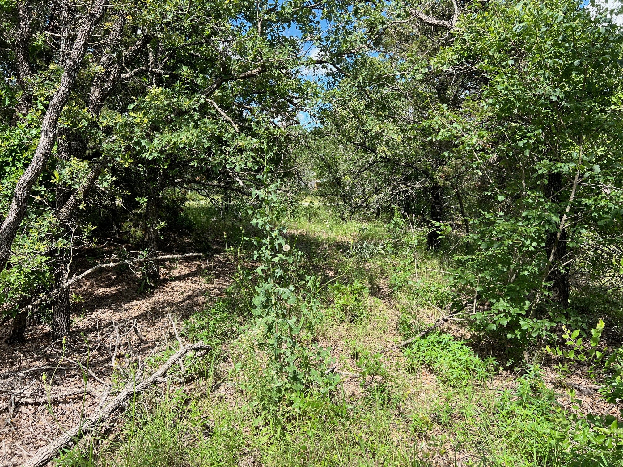 153 Julie Drive Mineral Wells TX 76067