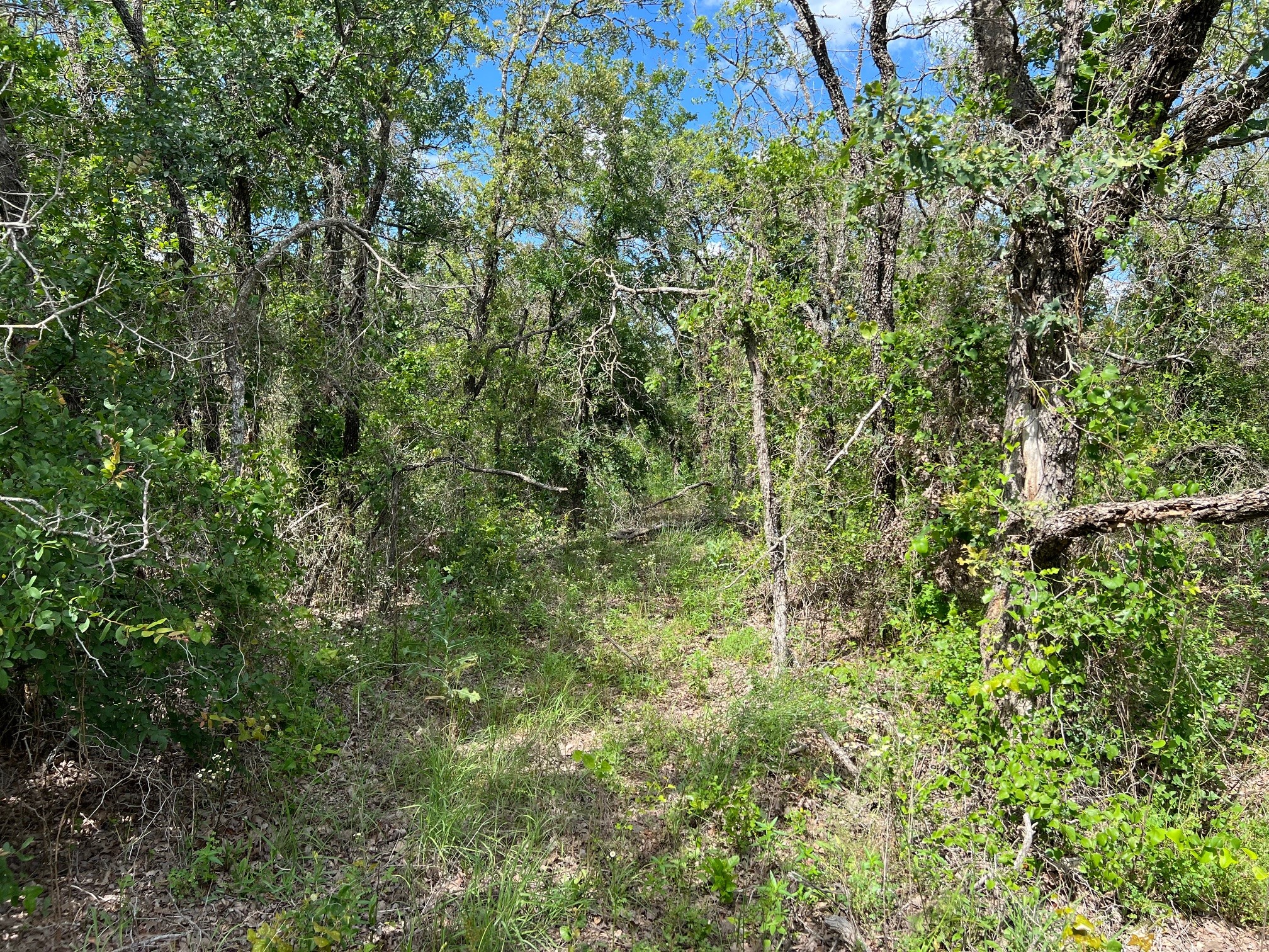 153 Julie Drive Mineral Wells TX 76067