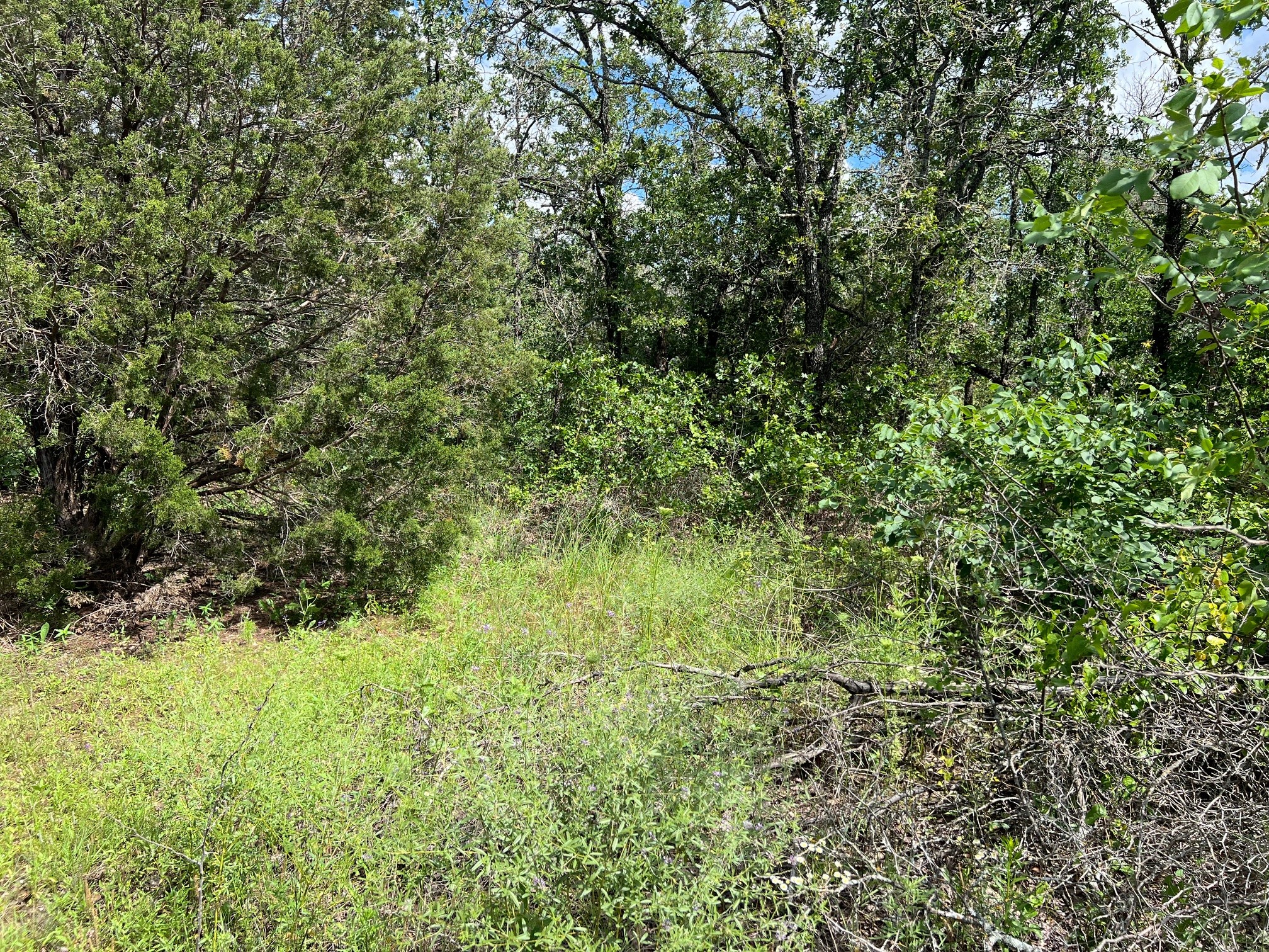 153 Julie Drive Mineral Wells TX 76067