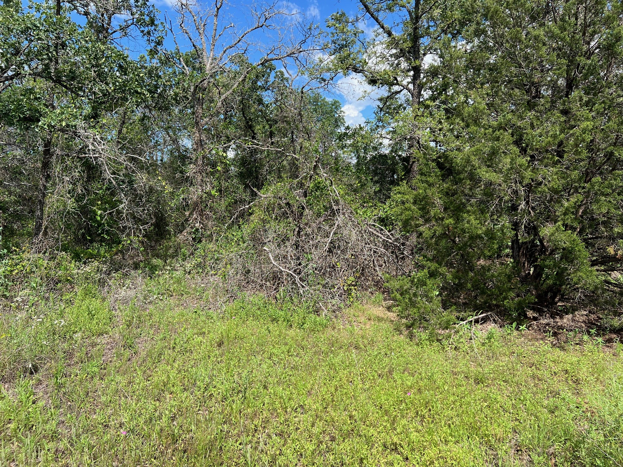 153 Julie Drive Mineral Wells TX 76067
