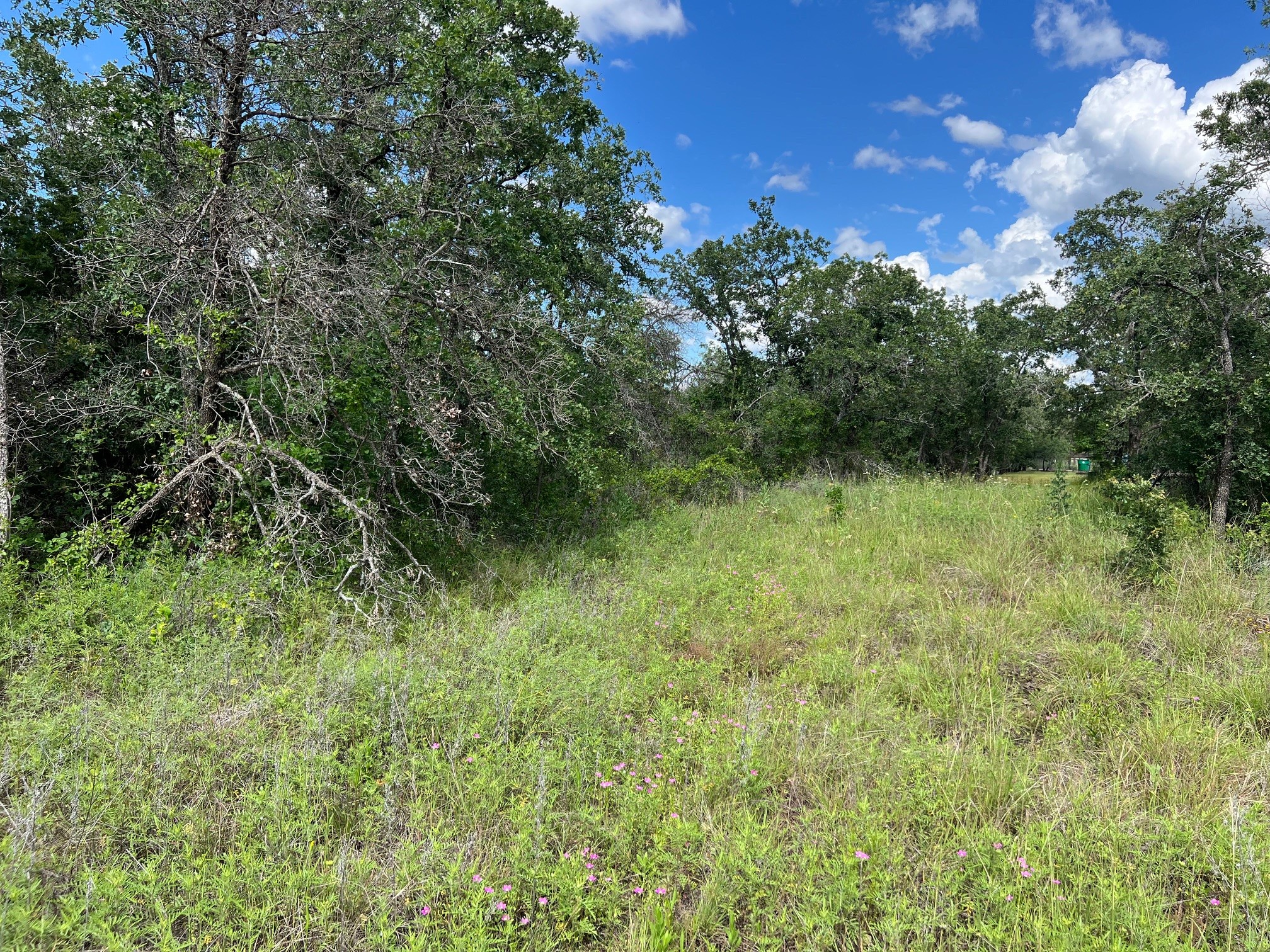 153 Julie Drive Mineral Wells TX 76067