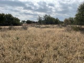 Lot 234 Feather Bay Drive Brownwood TX 76801