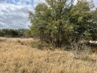 Lot 234 Feather Bay Drive Brownwood TX 76801