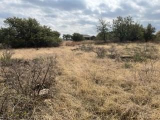 Lot 234 Feather Bay Drive Brownwood TX 76801