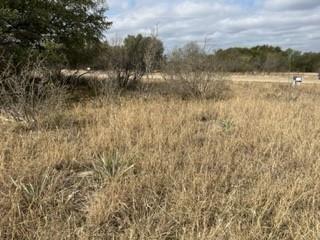 Lot 234 Feather Bay Drive Brownwood TX 76801