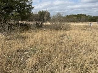 Lot 234 Feather Bay Drive Brownwood TX 76801