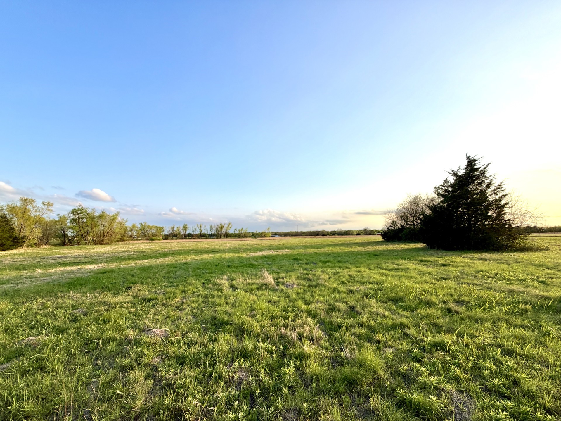 000 Tbd County Road 4870 Leonard TX 75452
