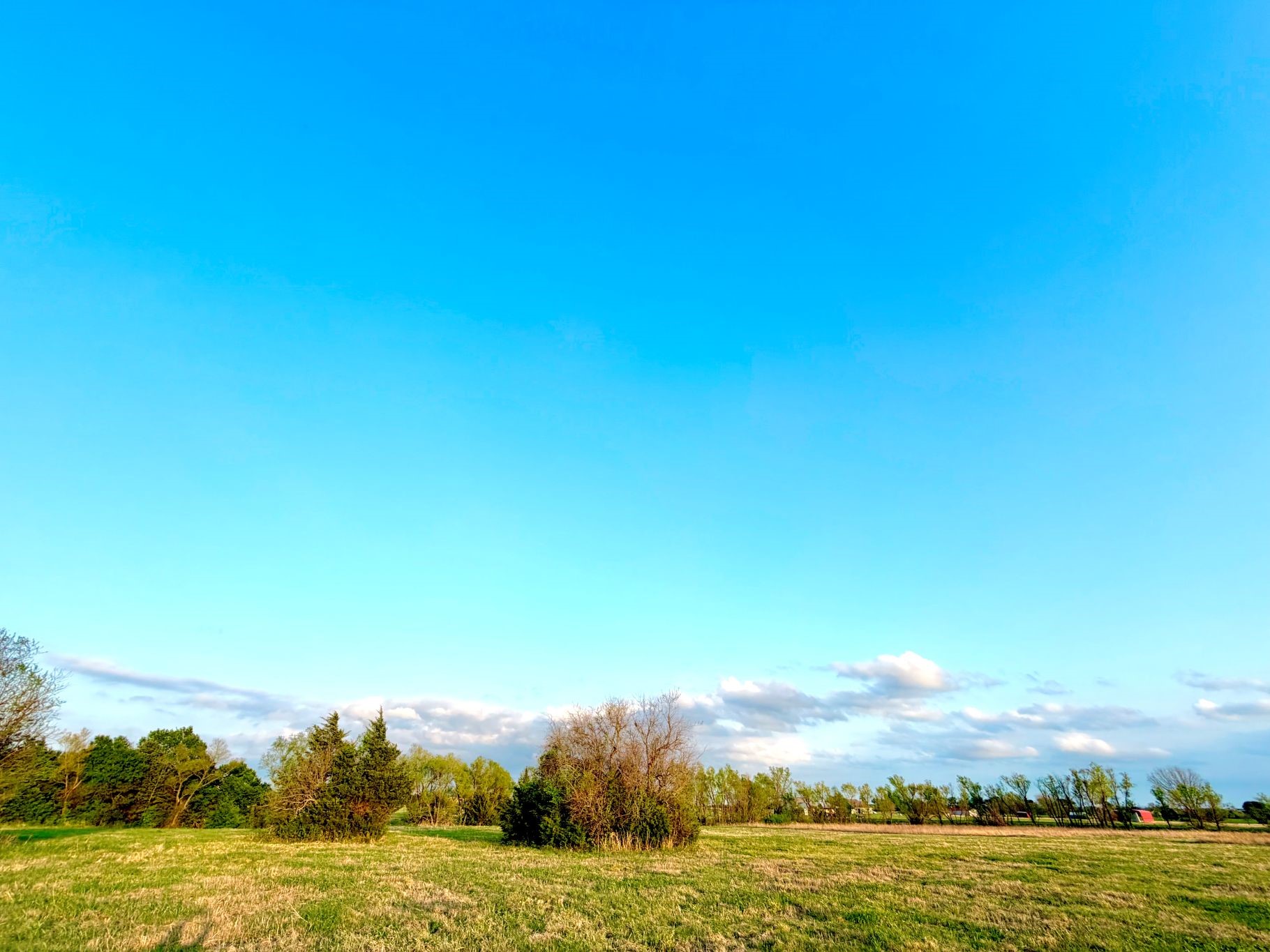 000 Tbd County Road 4870 Leonard TX 75452