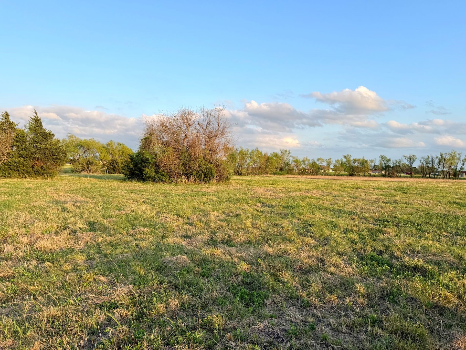 000 Tbd County Road 4870 Leonard TX 75452