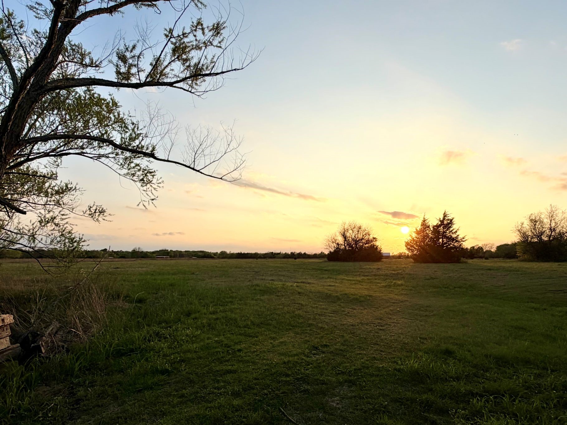 000 Tbd County Road 4870 Leonard TX 75452