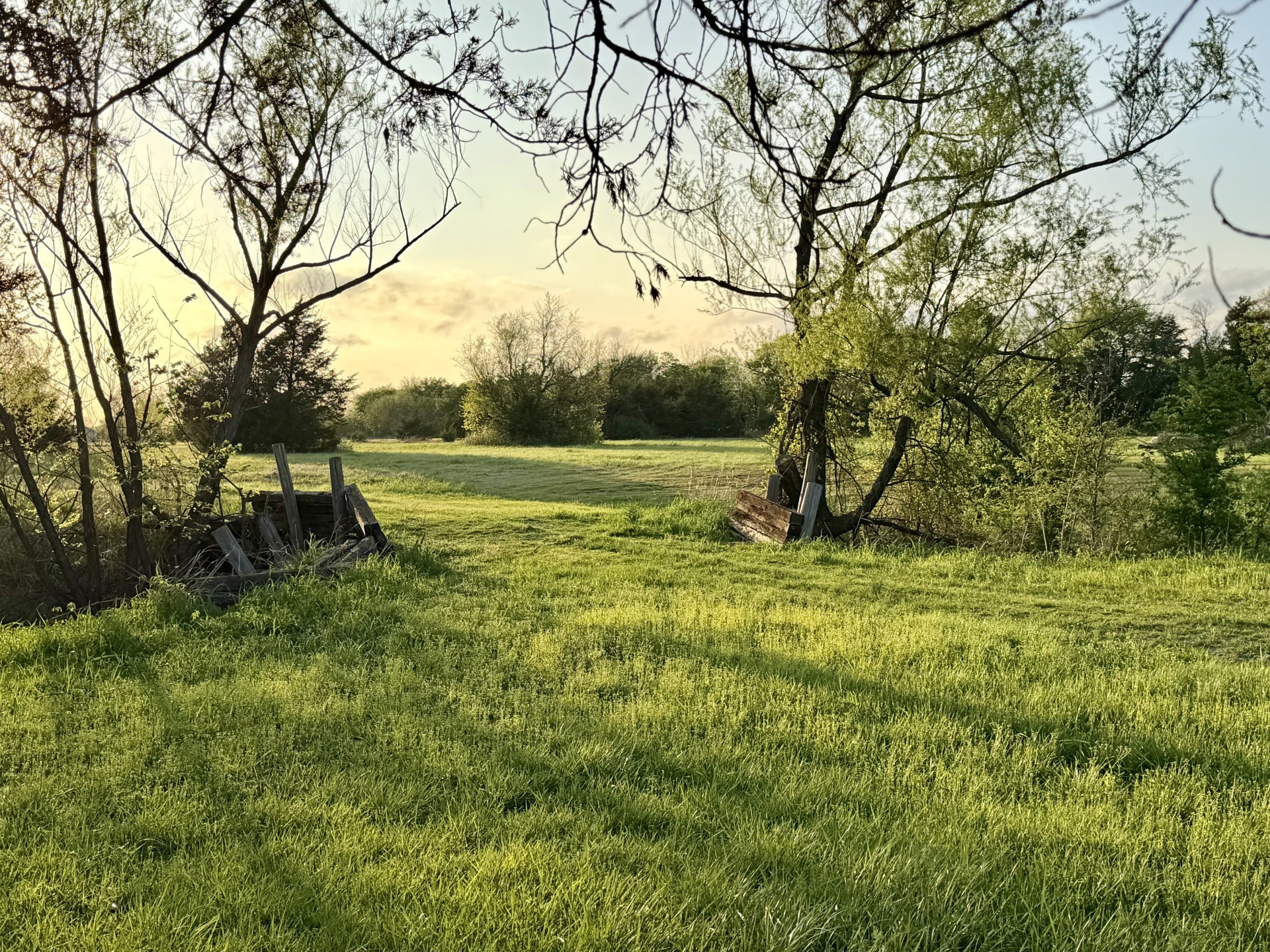 000 Tbd County Road 4870 Leonard TX 75452