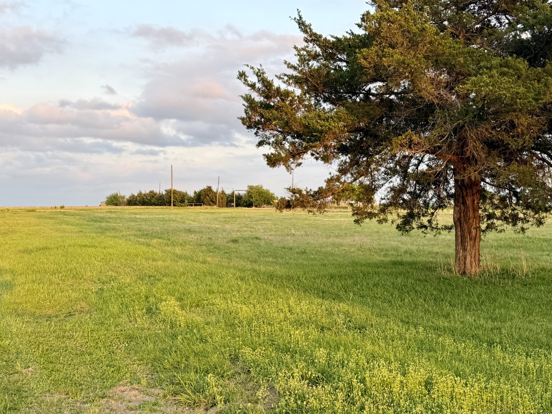 000 Tbd County Road 4870 Leonard TX 75452
