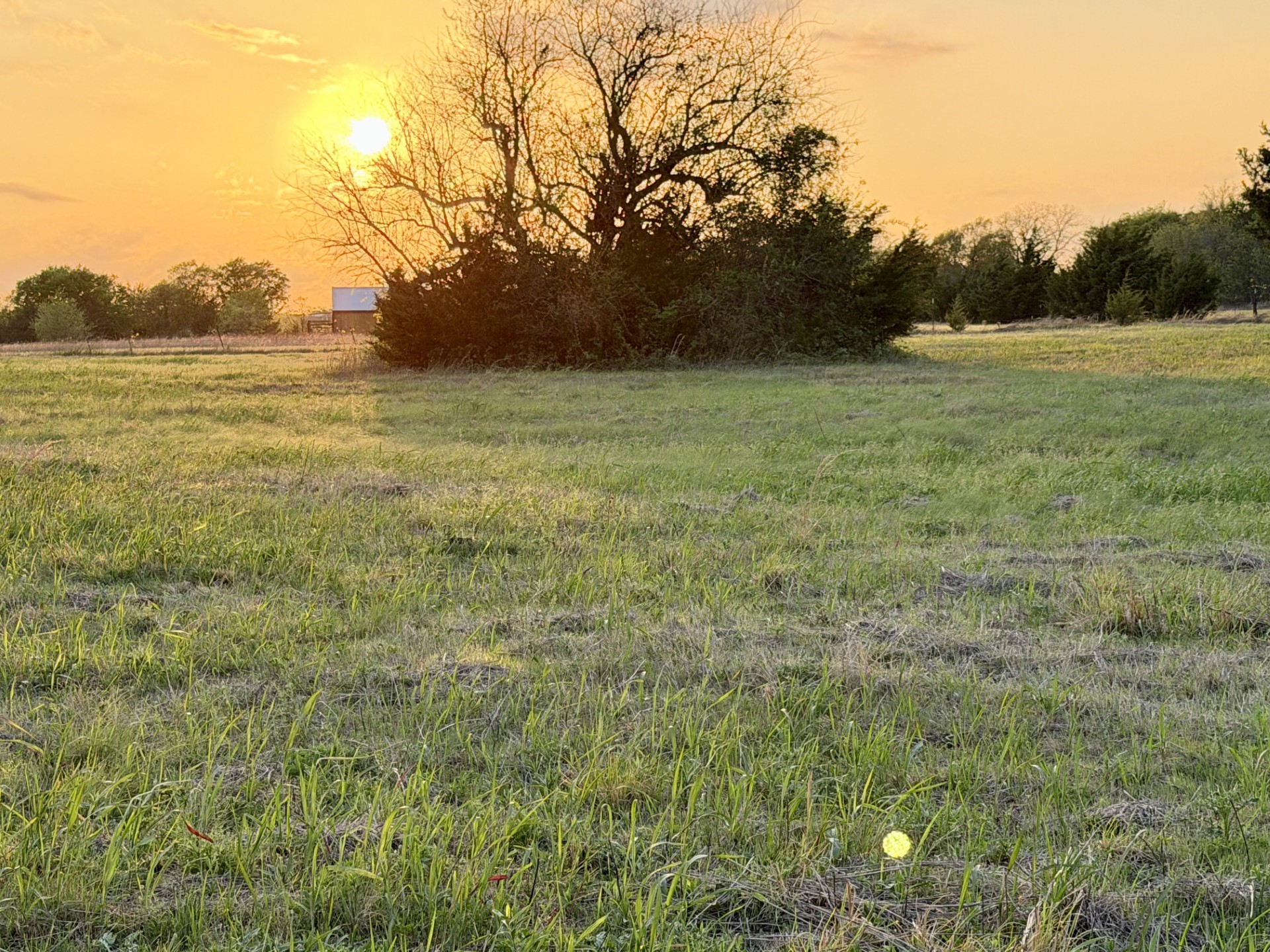 000 Tbd County Road 4870 Leonard TX 75452