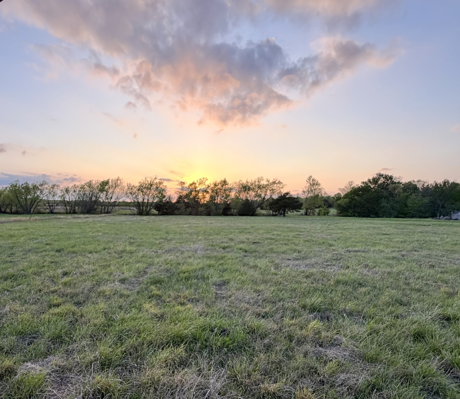 000 Tbd County Road 4870 Leonard TX 75452