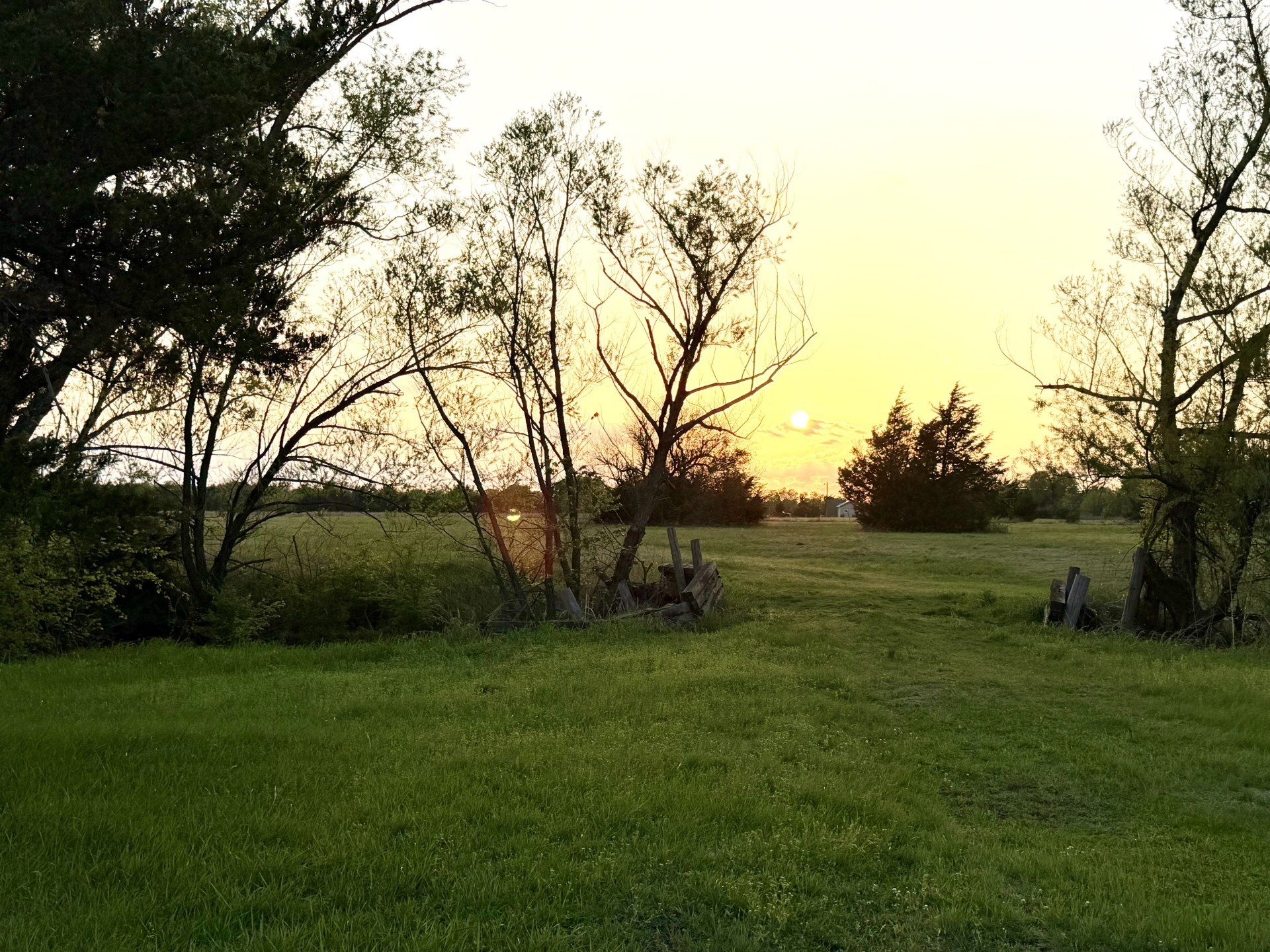 000 Tbd County Road 4870 Leonard TX 75452