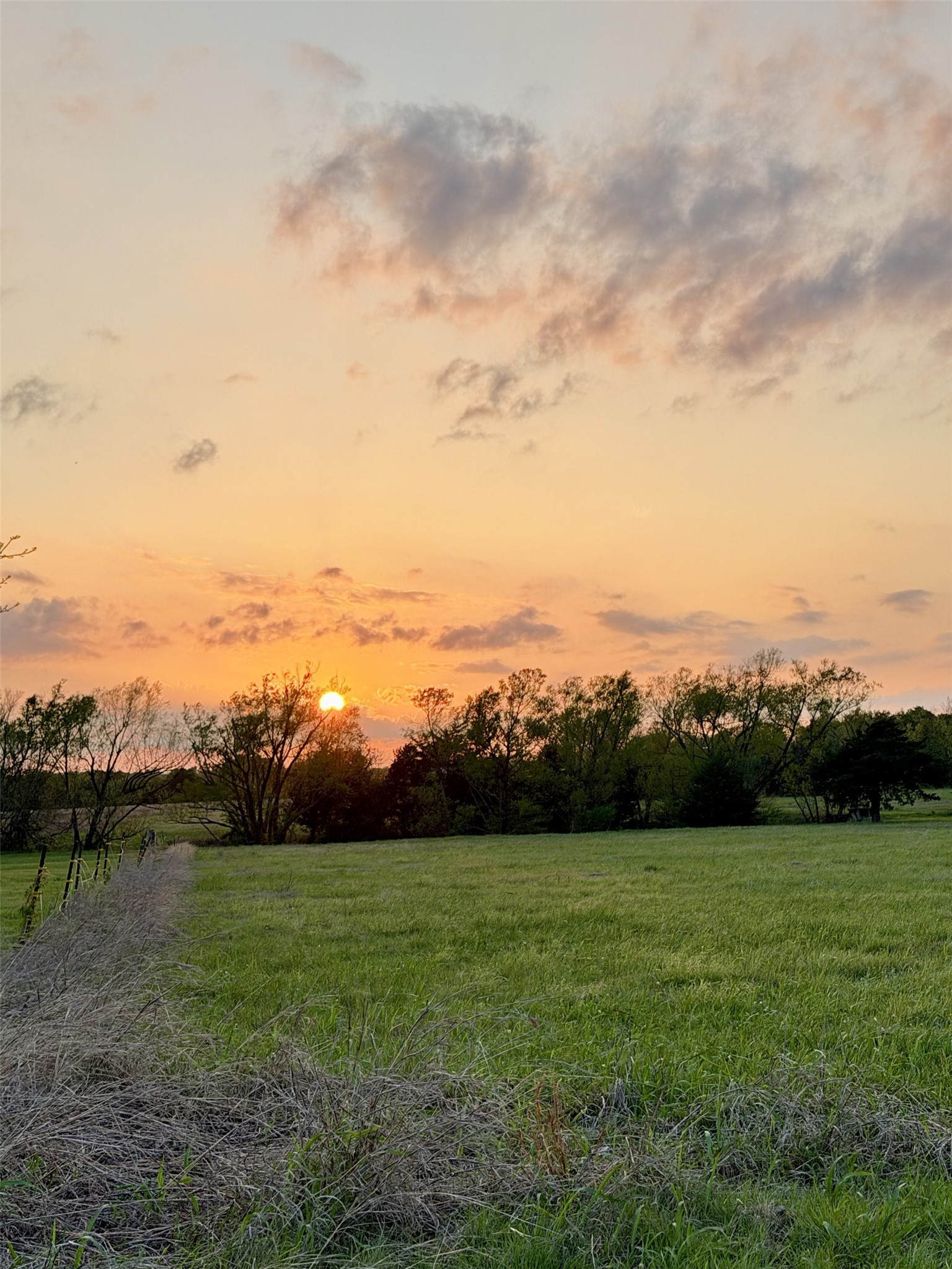 000 Tbd County Road 4870 Leonard TX 75452