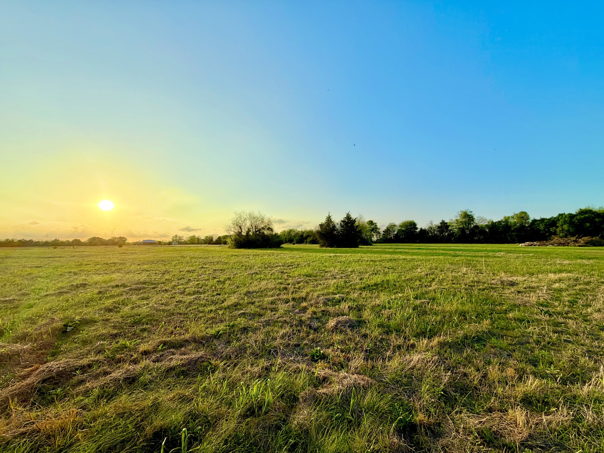 000 Tbd County Road 4870 Leonard TX 75452