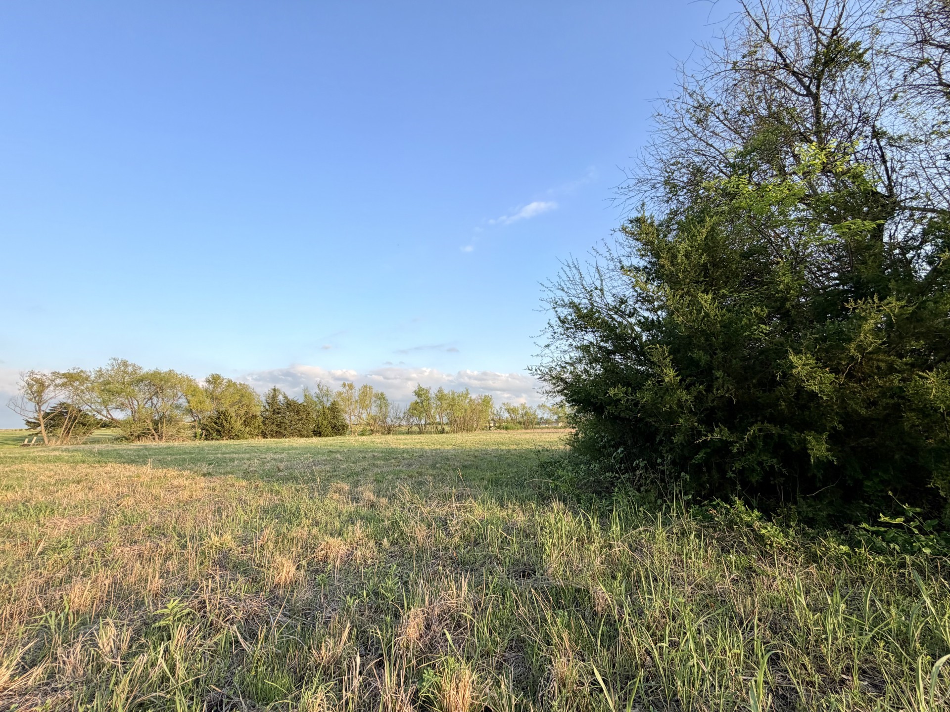 000 Tbd County Road 4870 Leonard TX 75452