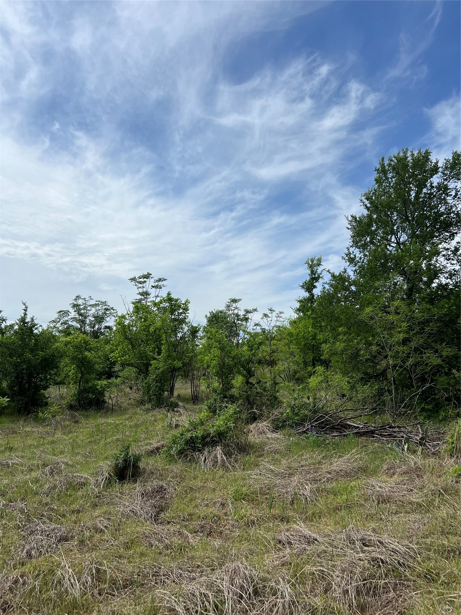 Tbd Mcgregor Drive Mcgregor TX 76657