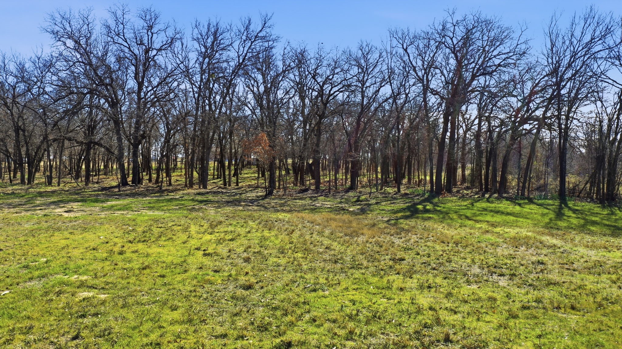 740 Fm 1189 Millsap TX 76066