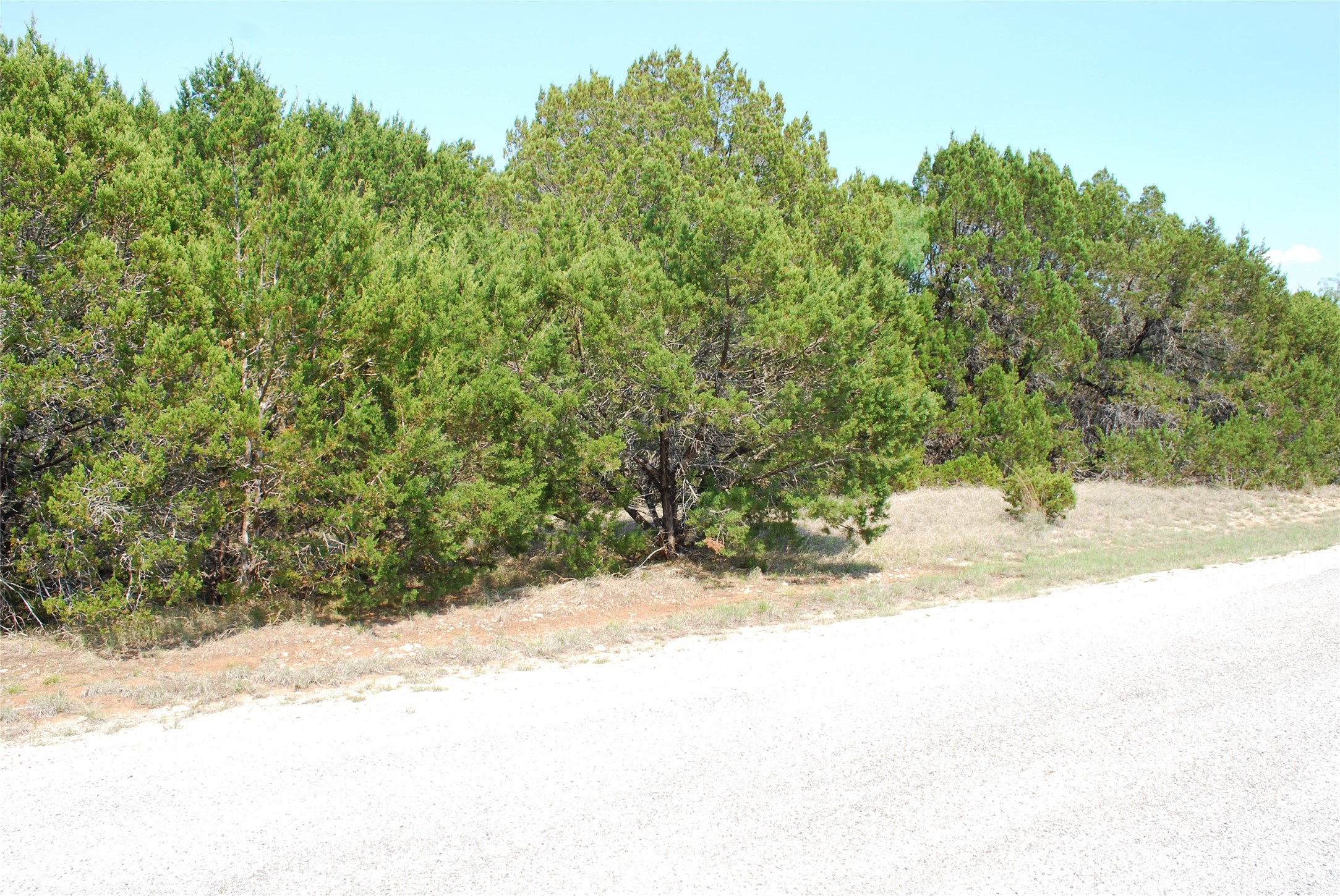 12101 Oak Dale Drive Whitney TX 76692