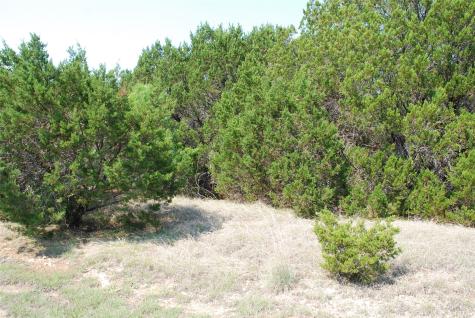 12101 Oak Dale Drive Whitney TX 76692
