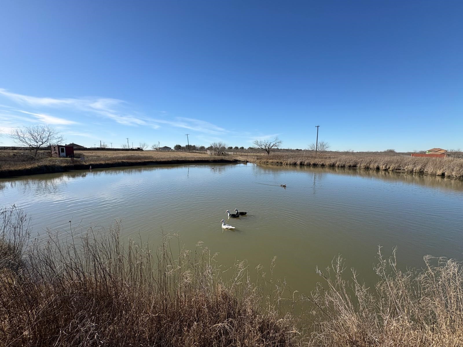 Tbd 000 Fm-1126 Corsicana TX 75110