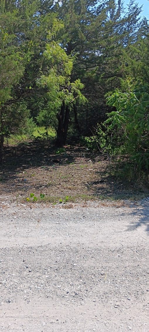 Twb County 3114 Road NW Purdon TX 76679