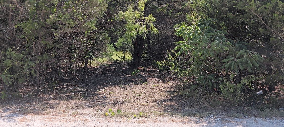 Twb County 3114 Road NW Purdon TX 76679