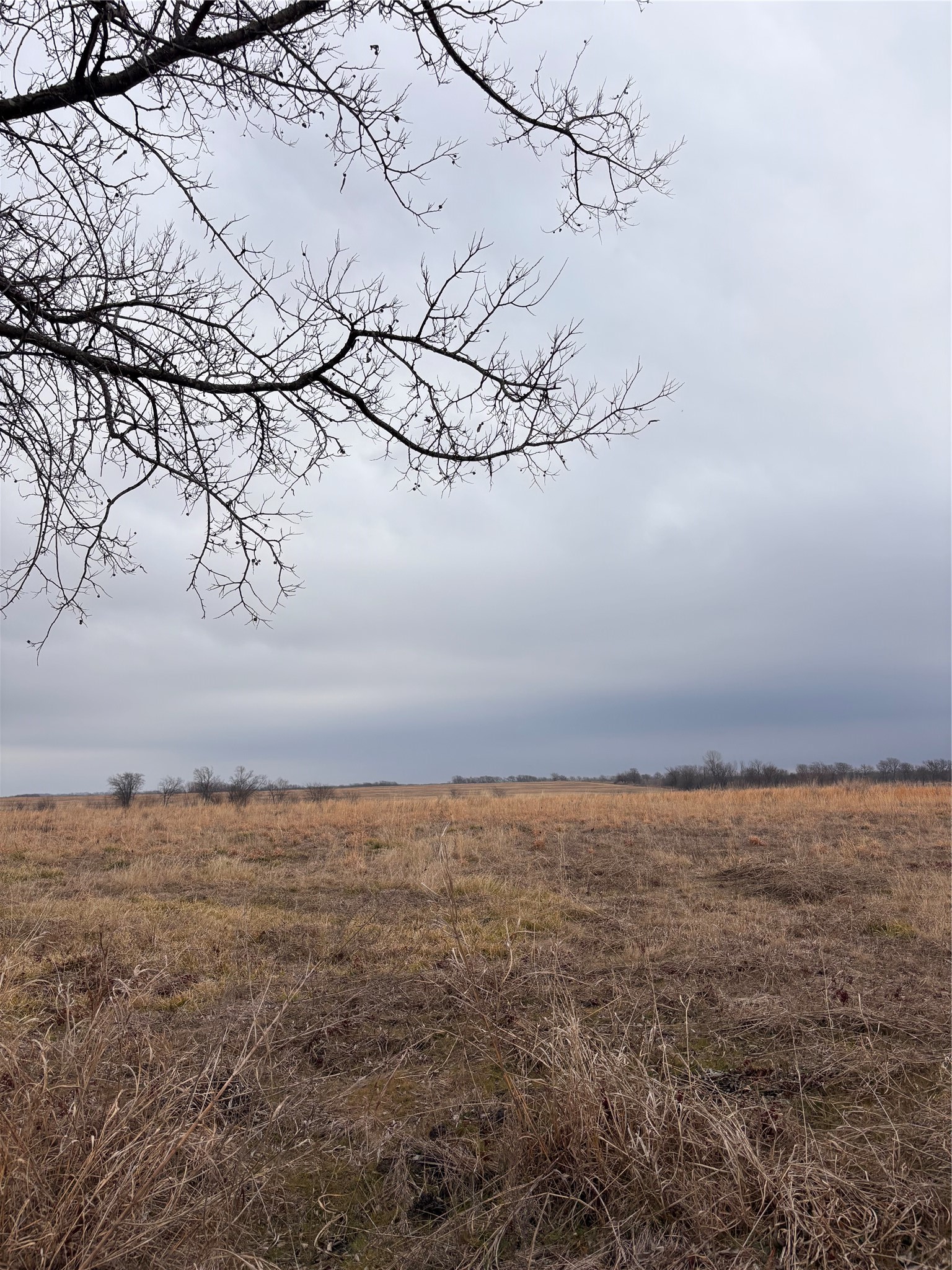 Tbd County Road Pecan Gap TX 75469