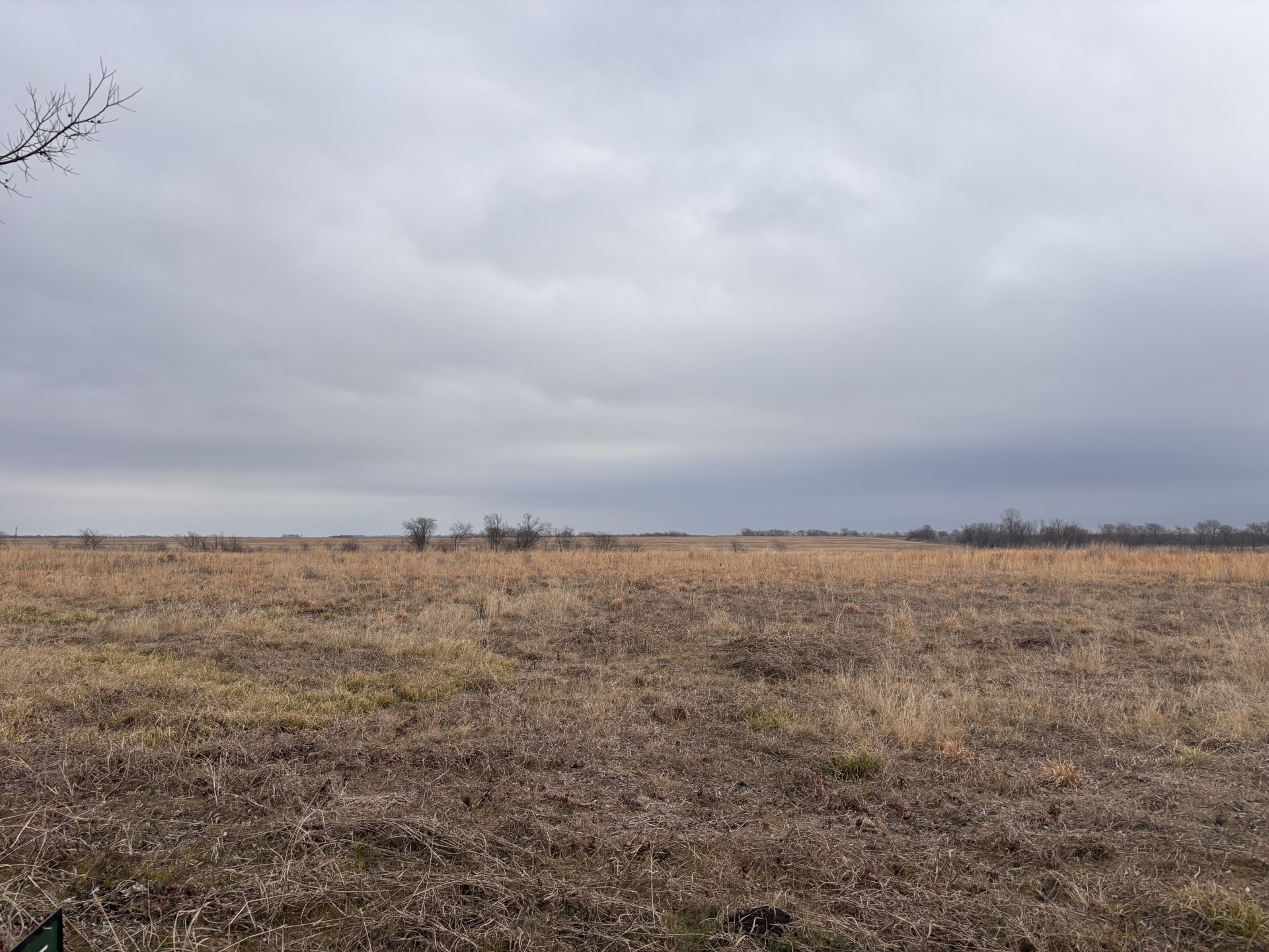 Tbd County Road Pecan Gap TX 75469