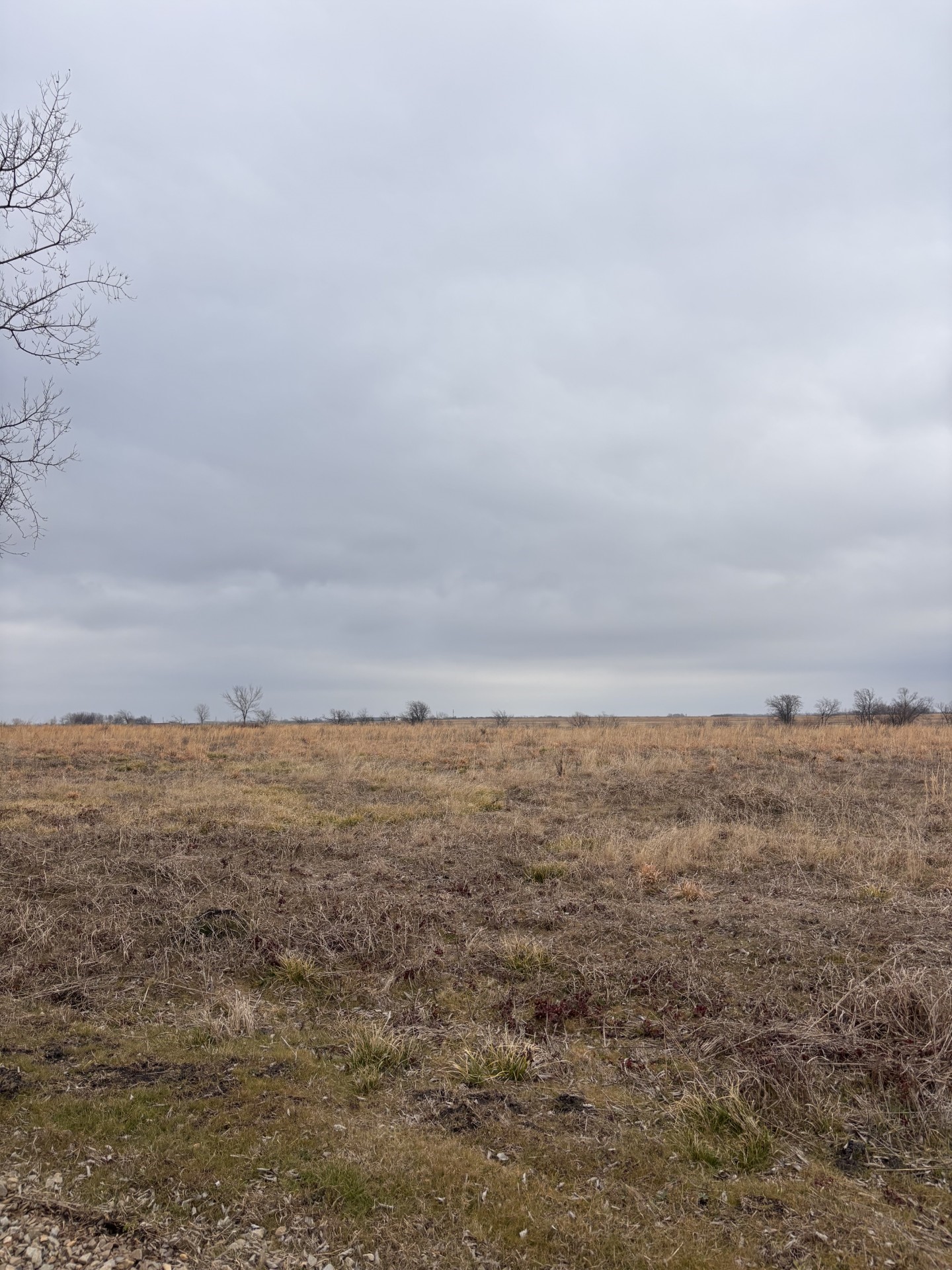 Tbd County Road Pecan Gap TX 75469
